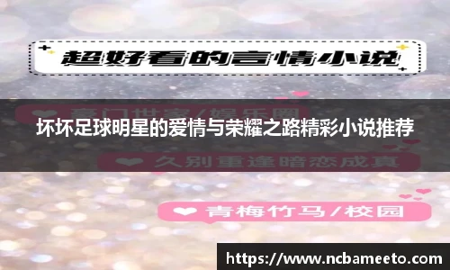 坏坏足球明星的爱情与荣耀之路精彩小说推荐